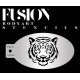 Pochoir de maquillage Tigre majestique