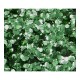 Paillettes mix cosmétiques biodégradables verte