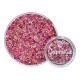 Glitter Cream visage et corps