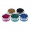 Paillettes pour Tatouage (Glitter Tattoo) - Set 5 Couleurs Cosmétiques Superstar