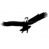 Aigel pochoir tatouage temporaire oiseau Ybody 20400