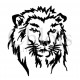 Tête de lion n°1001 pochoir tatouage
