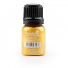 Peinture effet dents en or