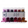 Kit paillettes cosmétiques fines Autumne Flame