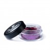 Paillettes mixtes biodégradables Fuchsia