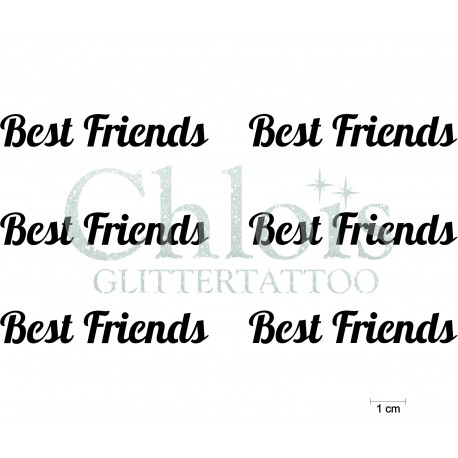 Stencil Best Friends n°9715